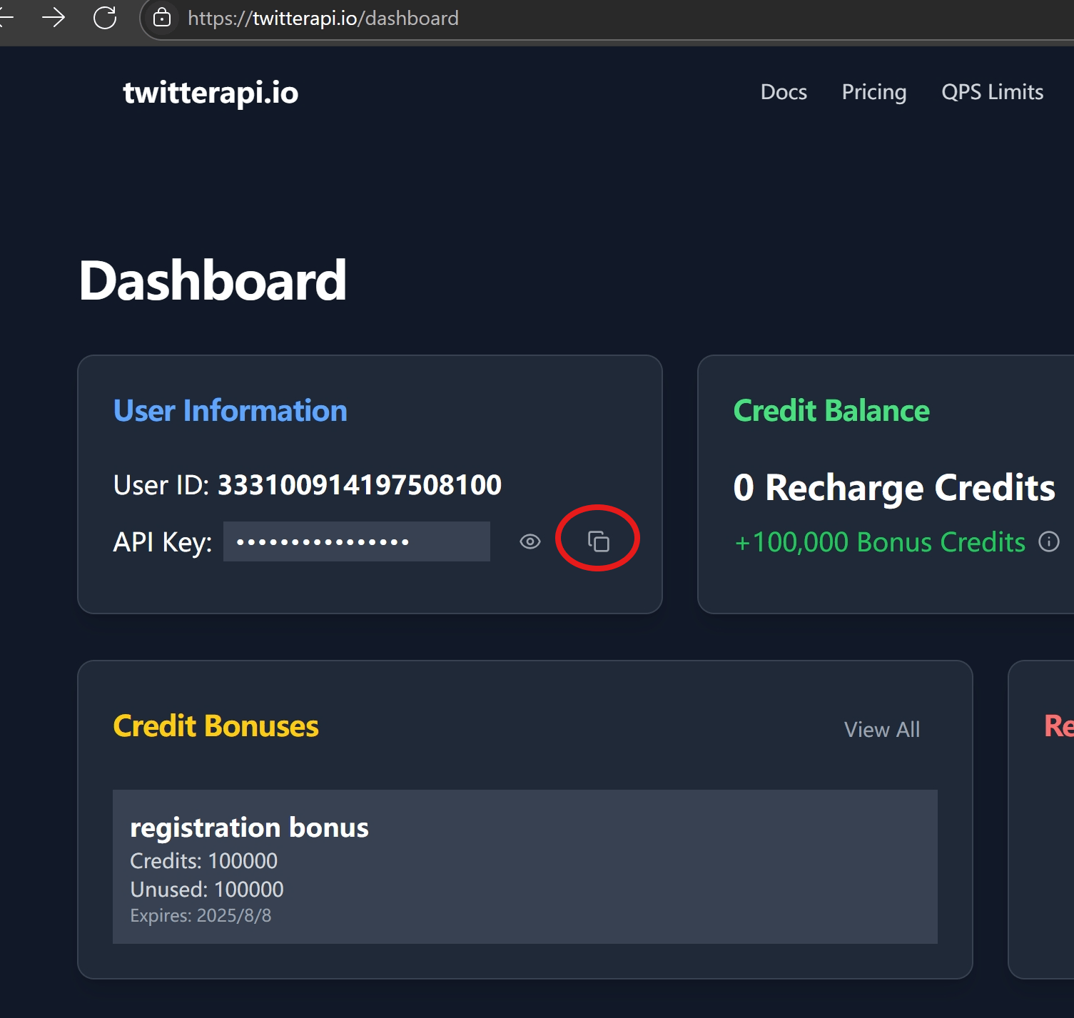 Copying the API key from the twitterapi.io dashboard